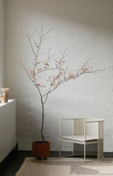 Fauteuil Bauhaus — Beige