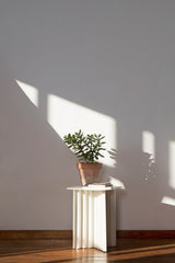 Table basse Plec rectangulaire - small — Acier blanc