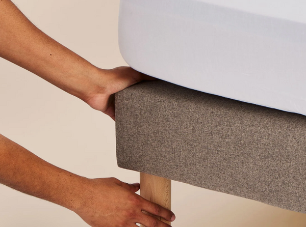 Sommier — Tapissier