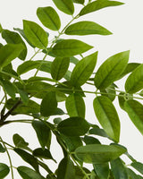 Arbre artificiel Rhus - détail cache-pot