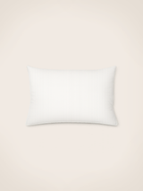 Intérieur de coussin — Plumes de canard