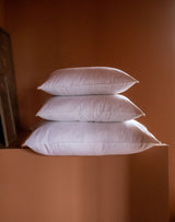 Coussin — Plumes de canard