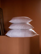 Intérieur de coussin — Plumes de canard