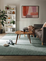 Tapis shaggy lavable MELVIN — Menthe (300x400cm)