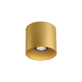 Spot RAY 1.0 PAR16