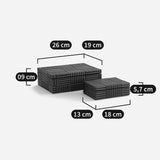 Lot de 2 boîtes RIMBA — Manguier massif