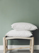 Intérieur de coussin — Plumes de canard