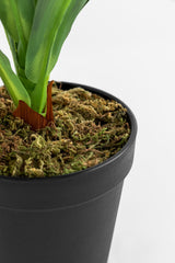 Plante artificielle Dracaena 40 cm