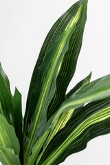 Plante artificielle Dracaena 40 cm