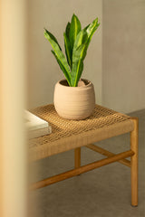 Plante artificielle Dracaena 40 cm