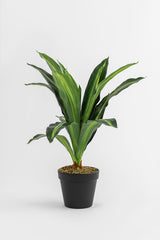 Plante artificielle Dracaena 40 cm