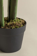Plante artificielle Strelitzia 110 cm