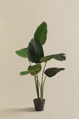 Plante artificielle Strelitzia 110 cm