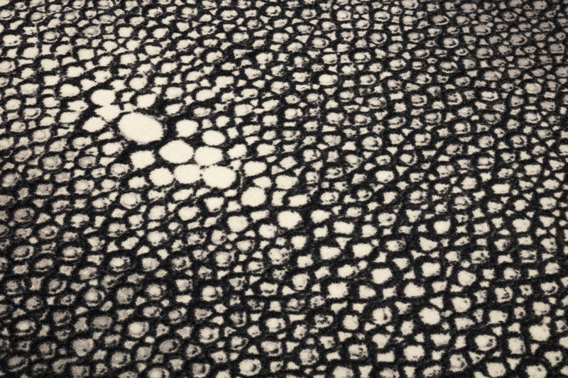 Tapis Stingray — Laine